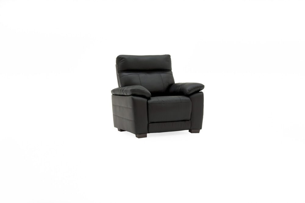 Carmine Fixed Leather Armchair - Black